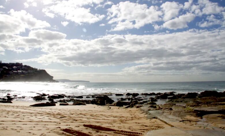 Whale Beach Getaway - Palm Beach, Australia