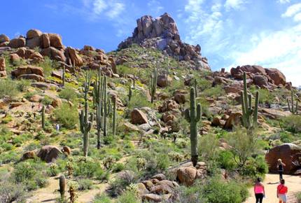 Pinnacle Monte Estate - Scottsdale, Arizona