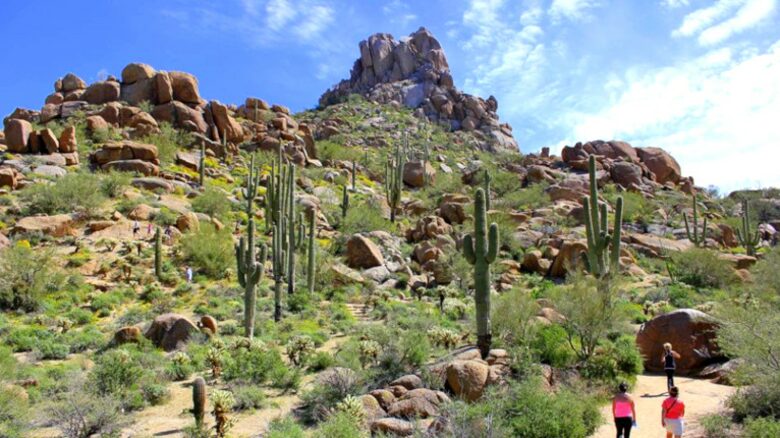 Pinnacle Monte Estate - Scottsdale, Arizona