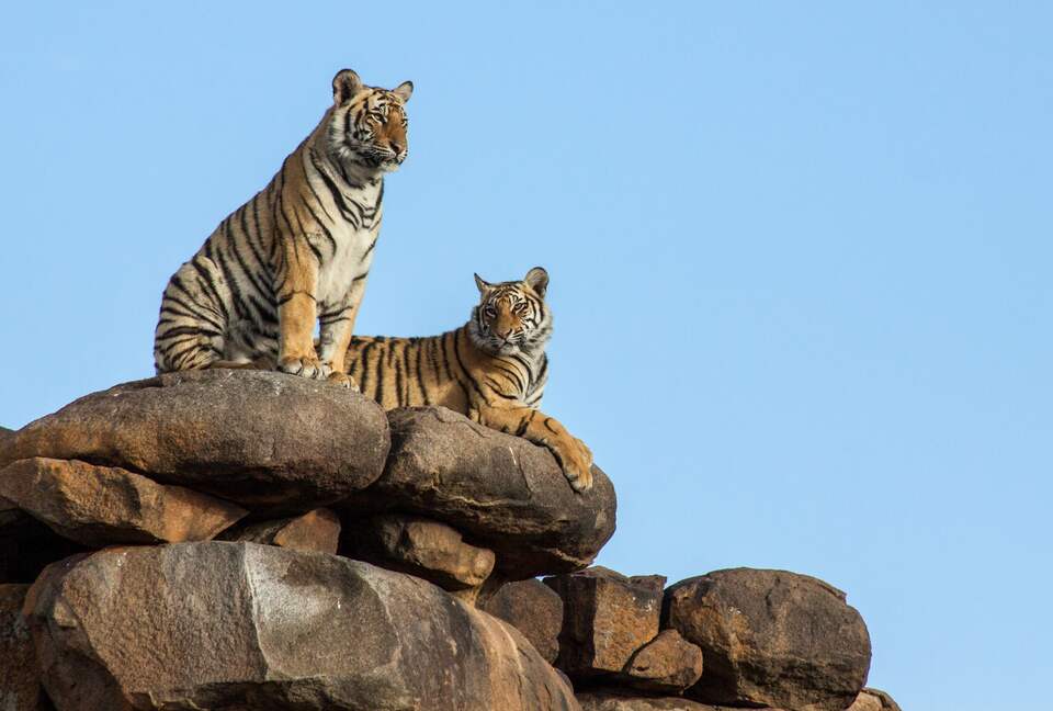 A One Bedroom Suite at Tiger Canyon Private Game Reserve - Philippolis, South Africa