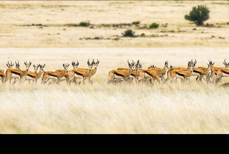 A One Bedroom Suite at Tiger Canyon Private Game Reserve - Philippolis, South Africa