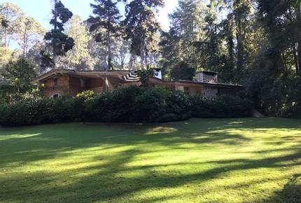 Forest Creek - Valle de Bravo, Mexico