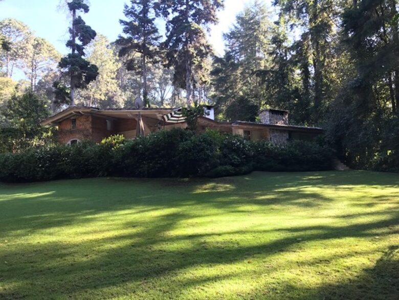 Forest Creek - Valle de Bravo, Mexico