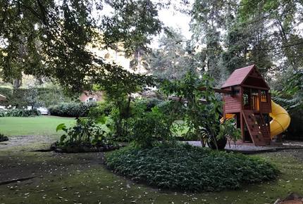 Forest Creek - Valle de Bravo, Mexico