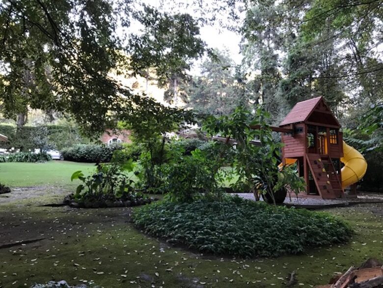 Forest Creek - Valle de Bravo, Mexico