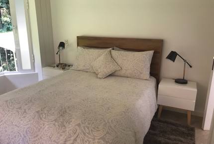 Forest Creek - Valle de Bravo, Mexico