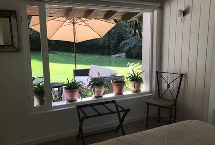 Forest Creek - Valle de Bravo, Mexico