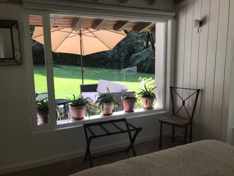 Forest Creek - Valle de Bravo, Mexico