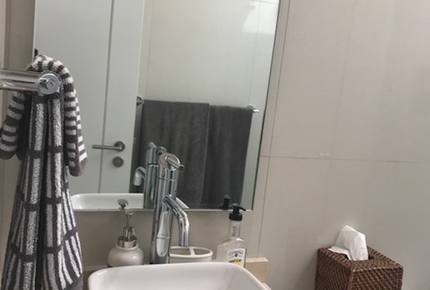 Forest Creek - Valle de Bravo, Mexico