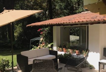 Forest Creek - Valle de Bravo, Mexico