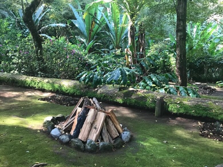 Forest Creek - Valle de Bravo, Mexico