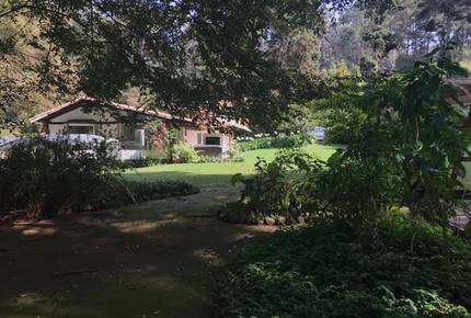 Forest Creek - Valle de Bravo, Mexico