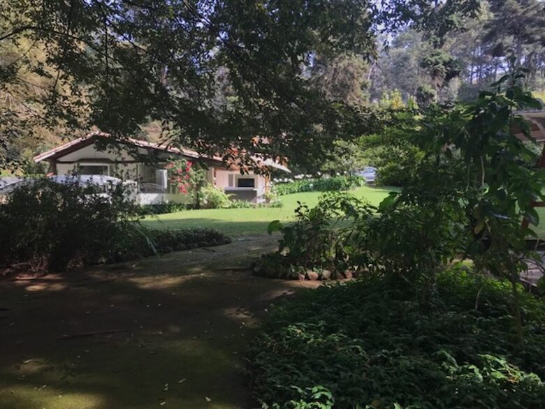 Forest Creek - Valle de Bravo, Mexico