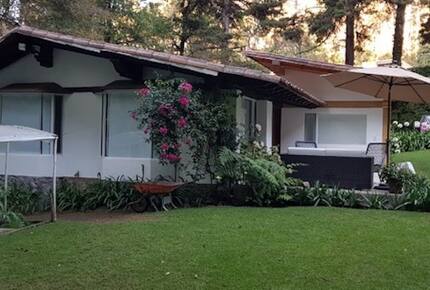 Forest Creek - Valle de Bravo, Mexico