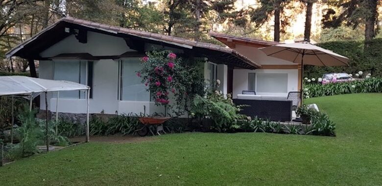 Forest Creek - Valle de Bravo, Mexico