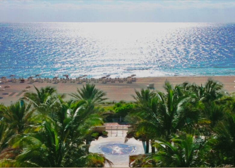 Ocean View Carillon Luxury Wellness Resort - Miami Beach, Florida