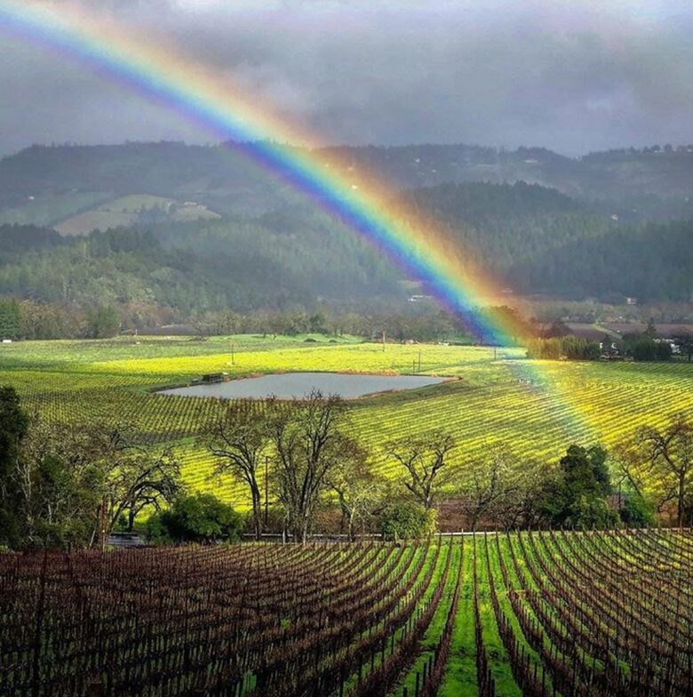 Yountville Charm - Yountville, California