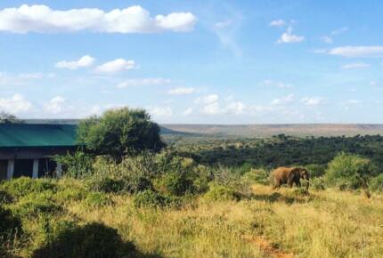 A Private Tent at Laikipia Wilderness Camp - Nanyuki, Kenya
