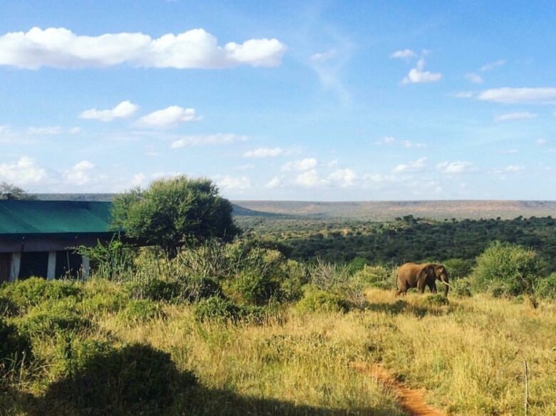 A Private Tent at Laikipia Wilderness Camp - Nanyuki, Kenya
