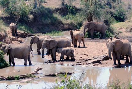 A Private Tent at Laikipia Wilderness Camp - Nanyuki, Kenya