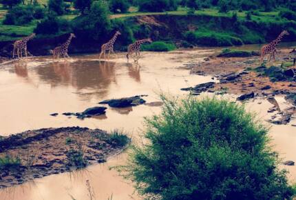 A Private Tent at Laikipia Wilderness Camp - Nanyuki, Kenya