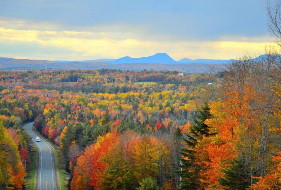 Tranquility on Penobscot Bay Private Retreat - Stockton Springs, Maine