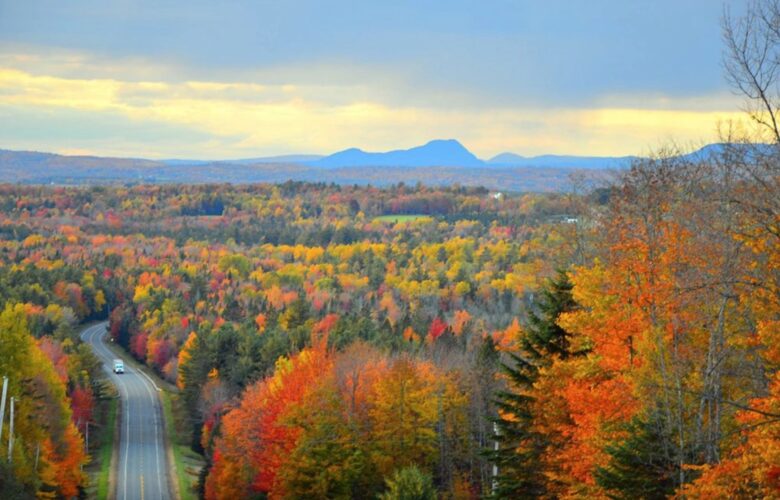 Tranquility on Penobscot Bay Private Retreat - Stockton Springs, Maine