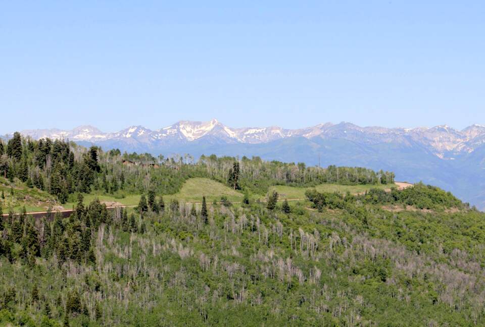 Timber Moose: America's Biggest Log Cabin - Heber City, Utah