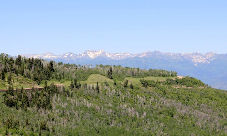 Timber Moose: America's Biggest Log Cabin - Heber City, Utah