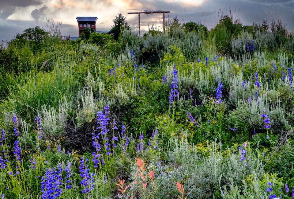 Timber Moose: America's Biggest Log Cabin - Heber City, Utah