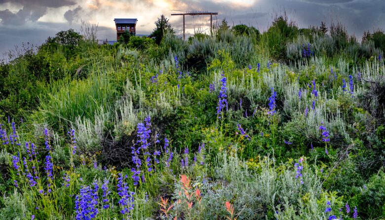 Timber Moose: America's Biggest Log Cabin - Heber City, Utah
