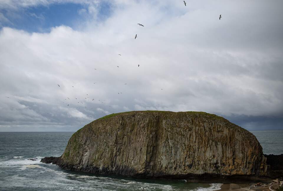 Stunning Oregon Coast House of Tranquility - Waldport, Oregon