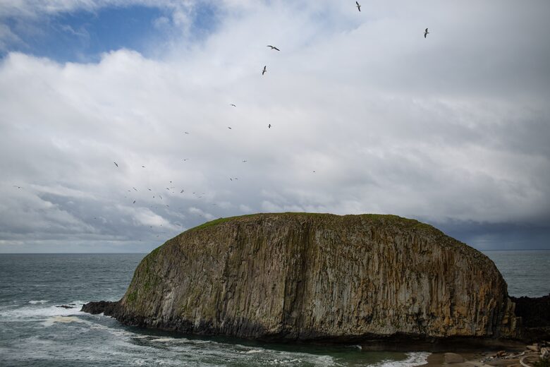 Stunning Oregon Coast House of Tranquility - Waldport, Oregon