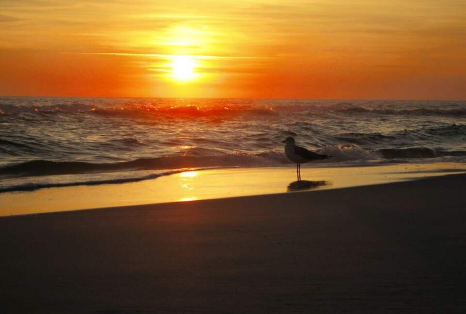 Gulf Front at Westwinds - Miramar Beach, Florida