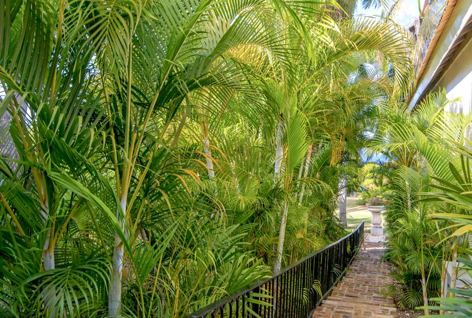 Montego Bay Compound - Bambu Villa - Hopewell, Jamaica