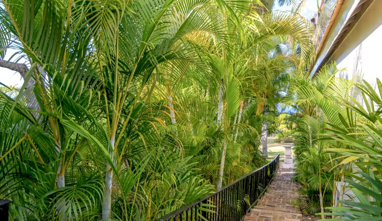 Montego Bay Compound - Bambu Villa - Hopewell, Jamaica