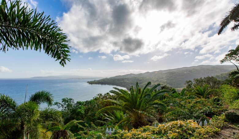 Montego Bay Compound - Bambu Villa - Hopewell, Jamaica