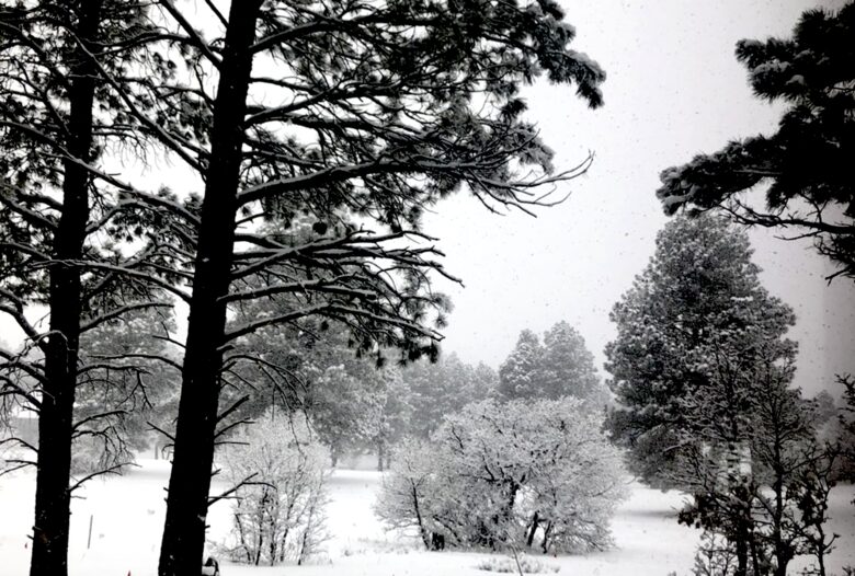 Pagosa Springs Private Retreat - Pagosa Springs, Colorado