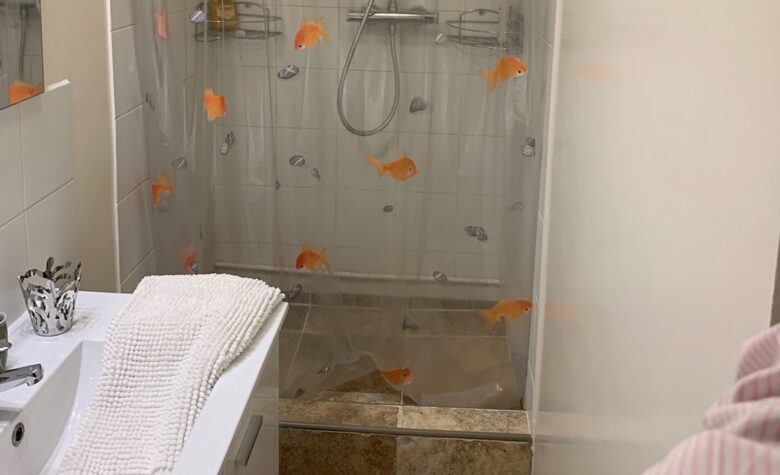 Parisian Aerie - Paris, France