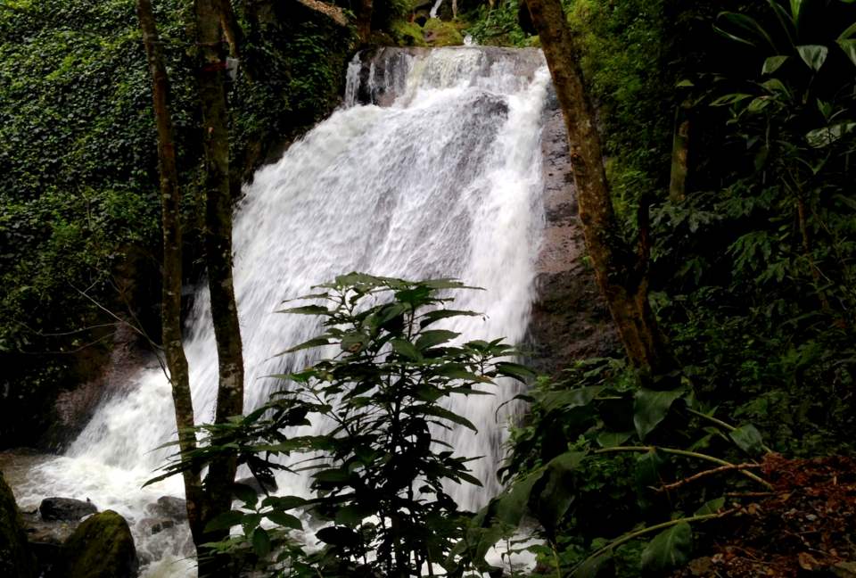 Onsite waterfall along the property