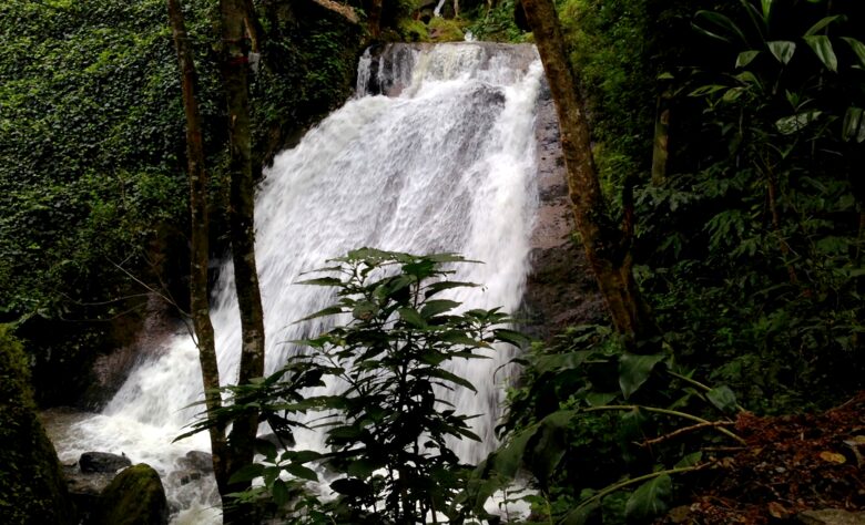 Onsite waterfall along the property