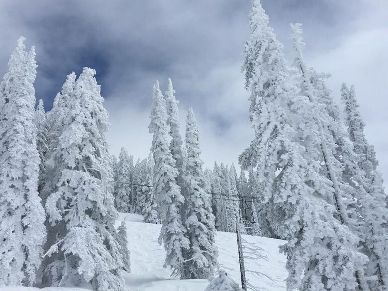 Snow Flower of Steamboat at the Base - Steamboat Springs, Colorado