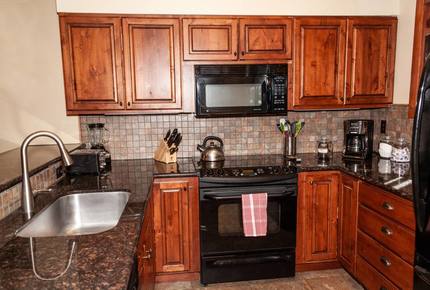 Snow Flower of Steamboat at the Base - Steamboat Springs, Colorado