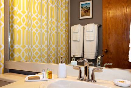 Snow Flower of Steamboat at the Base - Steamboat Springs, Colorado