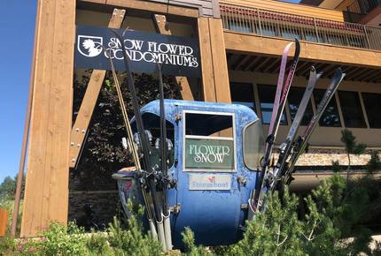Snow Flower of Steamboat at the Base - Steamboat Springs, Colorado