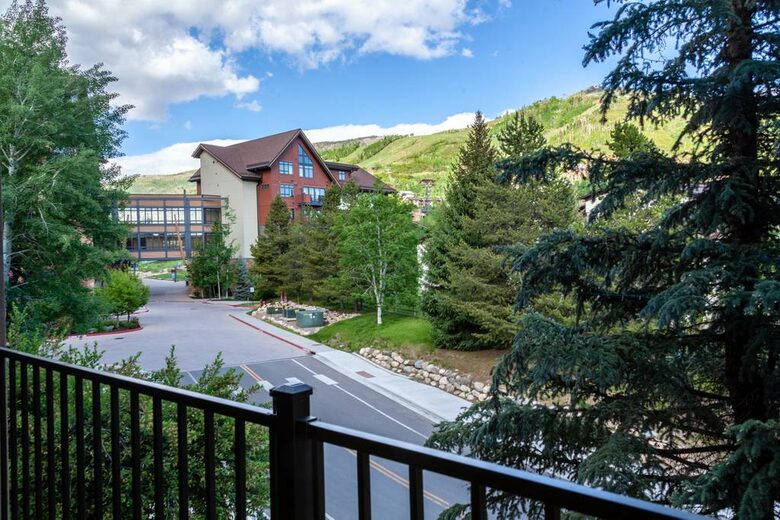Snow Flower of Steamboat at the Base - Steamboat Springs, Colorado