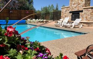 Snow Flower of Steamboat at the Base - Steamboat Springs, Colorado