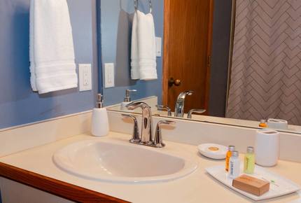 Snow Flower of Steamboat at the Base - Steamboat Springs, Colorado