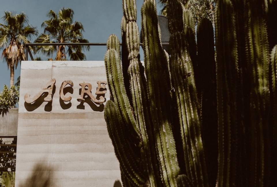 Acre Resort - 3 bedroom Jungle Villa - San Jose del Cabo, Mexico