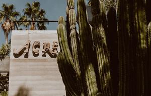 Acre Resort - 3 bedroom Jungle Villa - San Jose del Cabo, Mexico